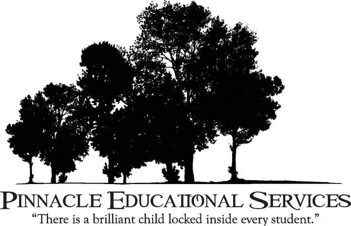 Pinnacle Educational Service